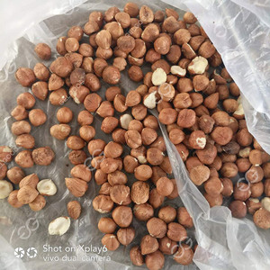 La desgranadora y separadora de avellanas de almendras y almendras más vendida - Product Image 5