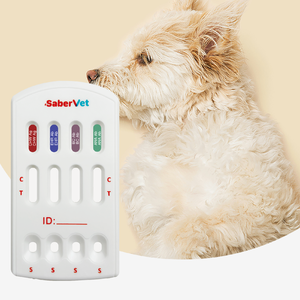 Sabervet Pet Diagnostic Kit Dog cat Disease Rapid Lsh <strong>Test</strong> CHW Babesia Anaplasma Lyme Anaplasma Ana <strong>test</strong> - Product Image 5