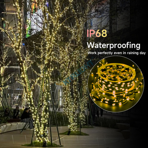 Multifunktion ale weiße Outdoor-LED-Lichterkette Ws2811 Programmier bare RGB Rgbw Dmx Led Ball Pebble Pixel Lichterketten - Product Image 3