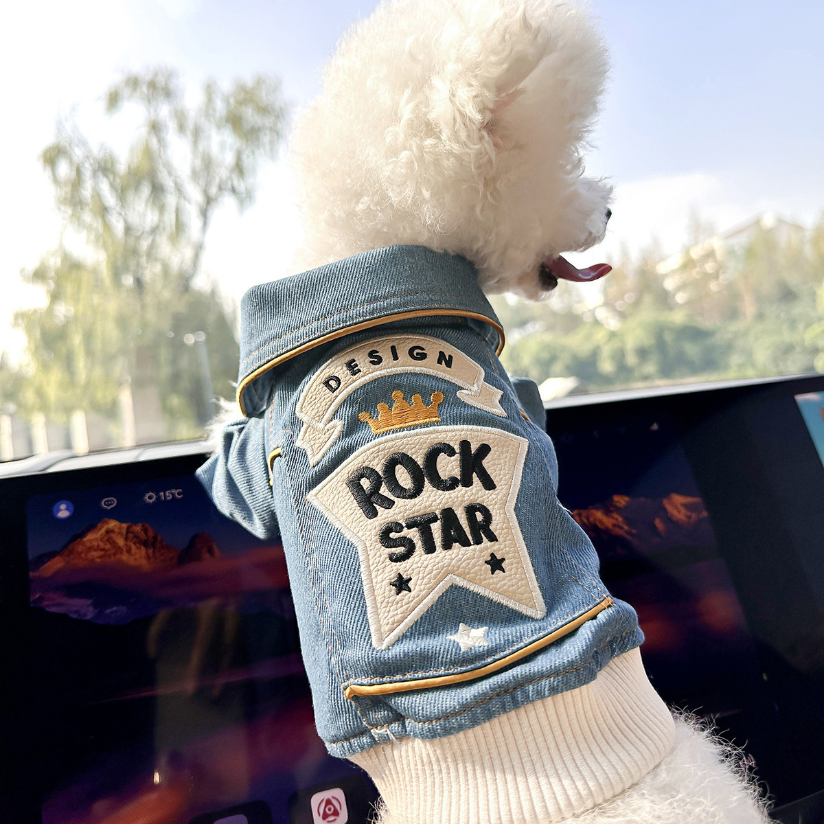 Veste en jean Rock