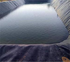 Miglior prezzo di alta qualità HDPE Geomembrane fodera 0.5mm-2.0mm stagno diga fodera per pesci stagno pesci fattoria materiale per discarica all'aperto LDPE - Product Image 5