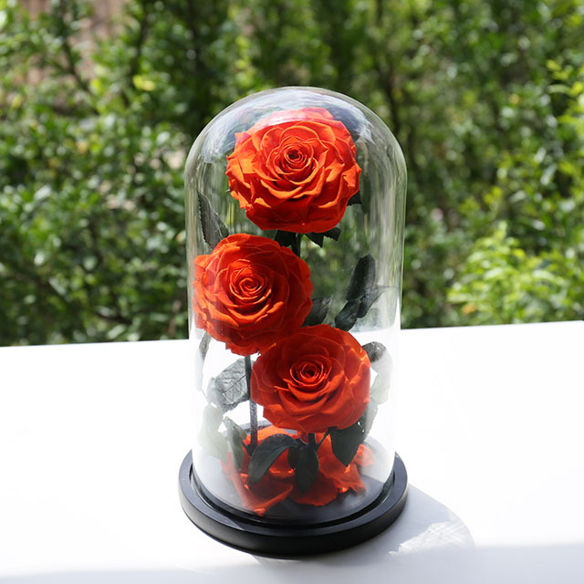 3 rose rosse arancioni