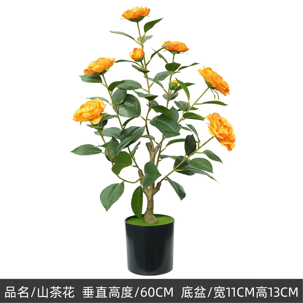 90cm camélia, orange