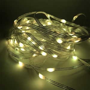 <strong>WS2811</strong> Addressable RGB Full Color Pebble <strong>LED</strong> <strong>Pixel</strong> <strong>String</strong> Light <strong>LED</strong> <strong>Pixel</strong> <strong>String</strong> DC5V Waterproof IP68 - Product Image 5