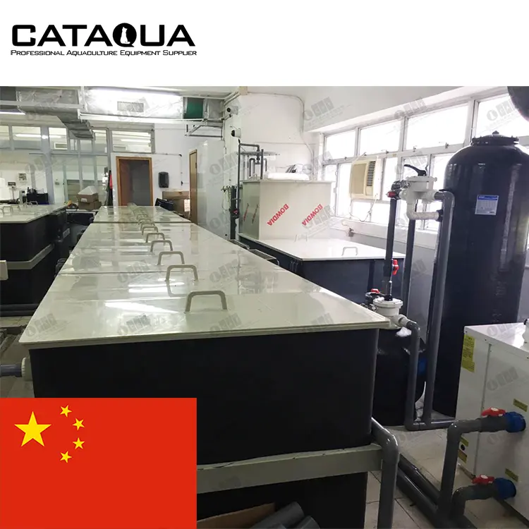 CATAQUA הונג קונג פרויקט לובסטר/צדפה/שבלול דגים סחרור מערכת הסירקולציה המחודשת חקלאות ימית מערכת