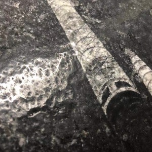 Mesas de mármol fósil marroquí - Product Image 3