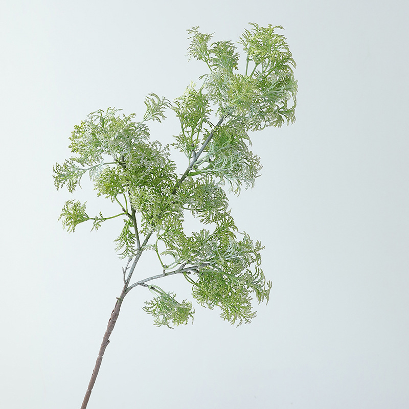 White GREEN