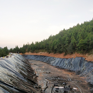 Hdpe Lldpe Garnalen Viskwekerij Vijver 0.5Mm 0.75Mm 1Mm 1.5Mm 2Mm 3Mm Geomembrane Dam Voering Prijs - Product Image 4
