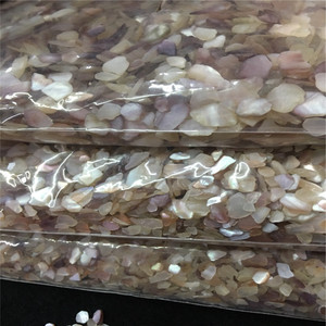 Bào Ngư Bào Ngư Nghiền Tự Nhiên Chip Vỏ Ngọc Trai Để Làm Đồ Trang Sức - Product Image 1