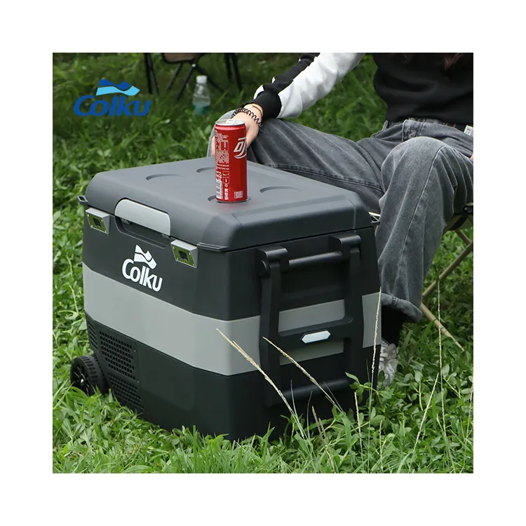 Batería 40L Camper pequeño refrigerado 12V 24V Mini refrigerador de coche para acampar pesca al aire libre