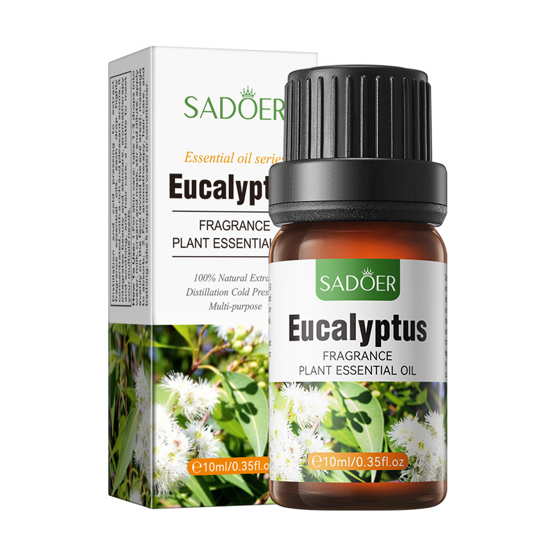 Eucalipto