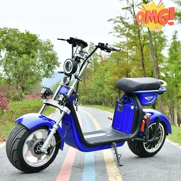 Electric Scooter Citycoco Eec Coc 2000W 20Ah Removable Lithium Battery Two Wheeler Fat Tire Adult Electric Motorcycle