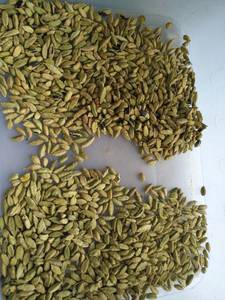 Classificador de cor óptica de alta precisão, classificador de cor óptica de cardamom, classificador de cor