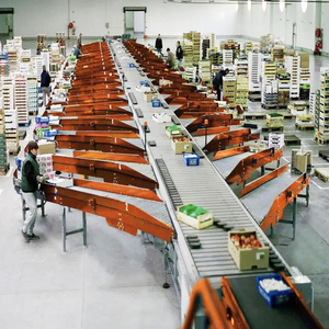 Hệ Thống DWS Máy Phân Loại Quét Cân Nặng Tự Động Cho Kho Vận Chuyển - Product Image 4