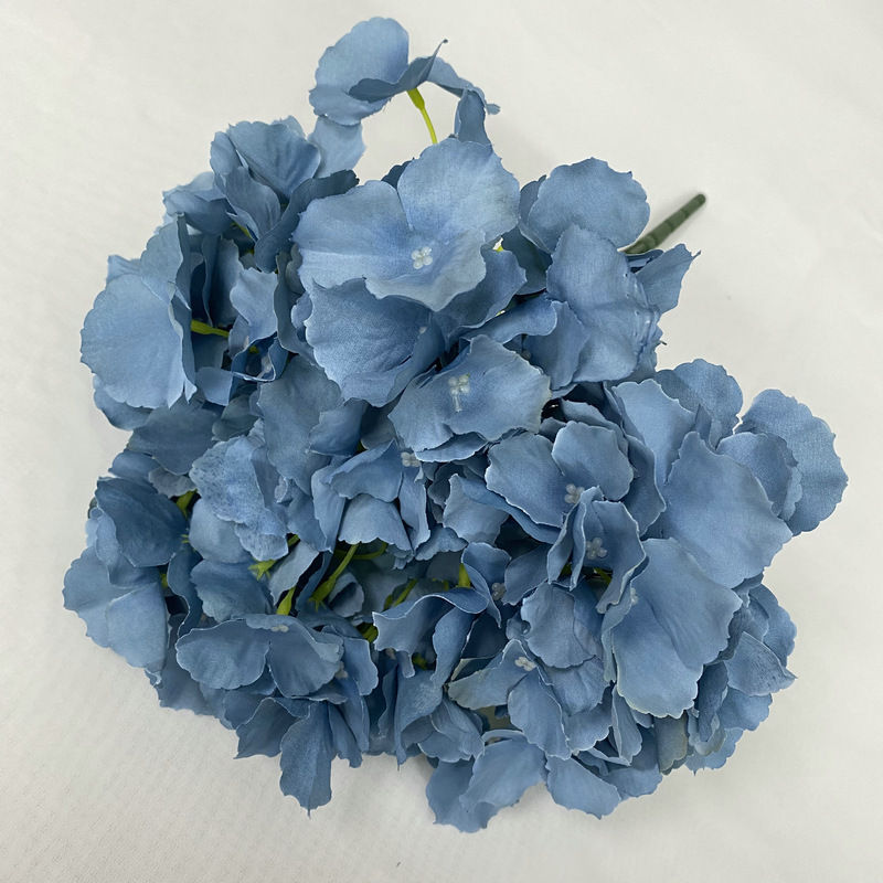 5 heads without leaves hydrangea