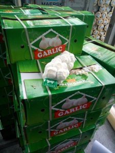 Bán <span class=keywords><strong>tunis</strong></span> tươi <span class=keywords><strong>AL</strong></span> ho Màu Đỏ 55mm 10kg (2024 thu hoạch) ail-cung cấp 26 năm - Product Image 3