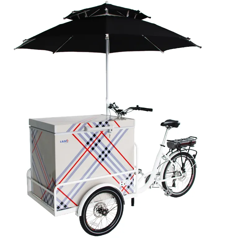 모바일 레스토랑 R134a 냉동 당 35km s 모터 용 전기 자전거로 아이스크림 트롤리 공장 맞춤화 208l