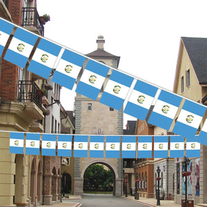 Custom <strong>Guatemala</strong> 10 Meters Bunting 30 Flags Guatemalan Rectangle Triangle String Flags for Election Events - Product Image 3