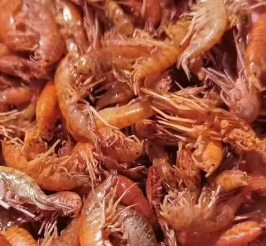 Crevettes séchées naturelles pour animaux de compagnie
