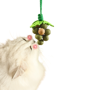 Minty Fun: Peluche de gato Mint Ball Toy por horas de felino para juguete de hierba gatera - Product Image 1