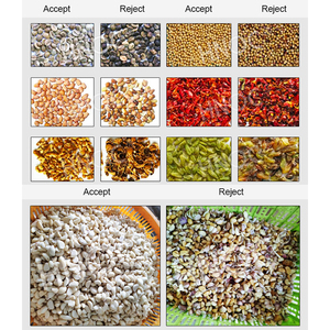 Máquina clasificadora de color de grano de arroz HNOC, máquina clasificadora de color de pacana de grano de cacao pequeño para plástico