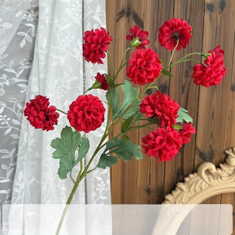Fleur de boule de neige