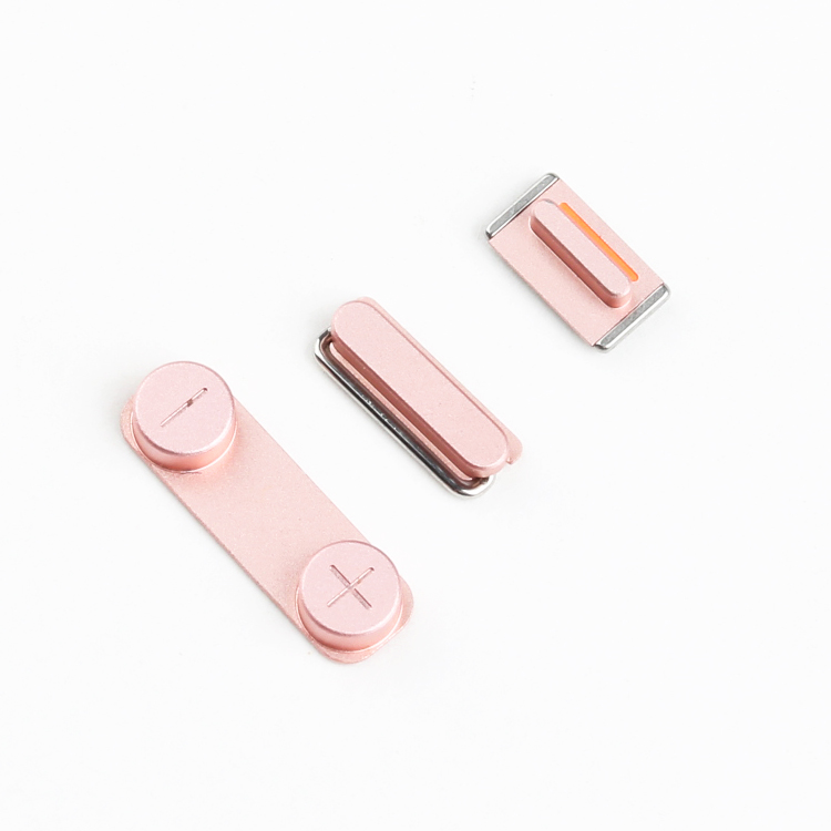 5S/SE กุหลาบทอง