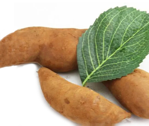 Yacon Shirley Fruit Polymnia Sonchifolia Saussurea Involucrata Fruit Extract Siroop Poeder - Product Image 4