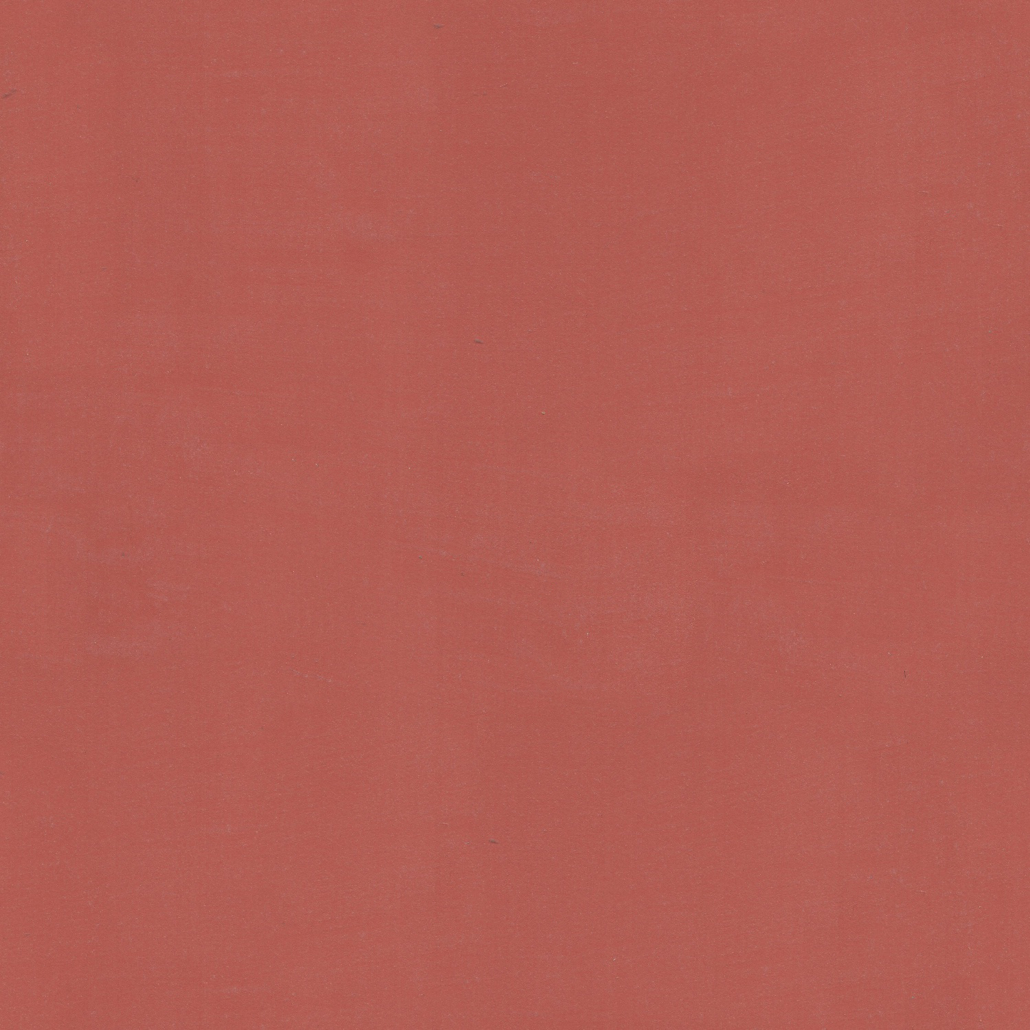 8117