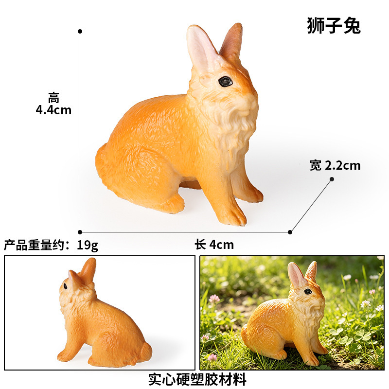 coloré 3601 Lion Lapin
