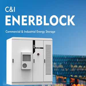 215Kwh Lifepo4 Lithium Battery for Solar Power Storage 20Ft 40Ft Turnkey <strong>C</strong>&amp;I Ess Solution Container Energy Storage System
