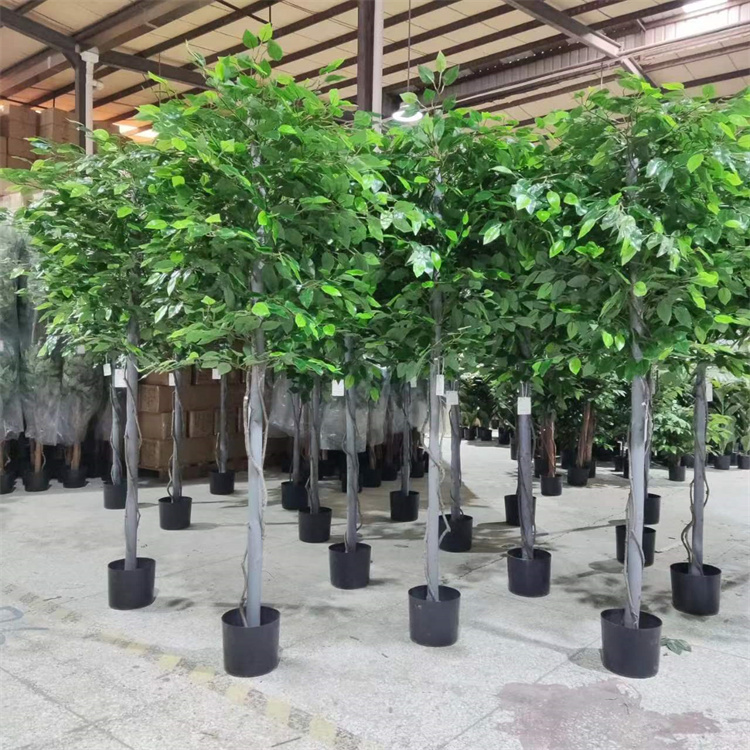 100*50cm