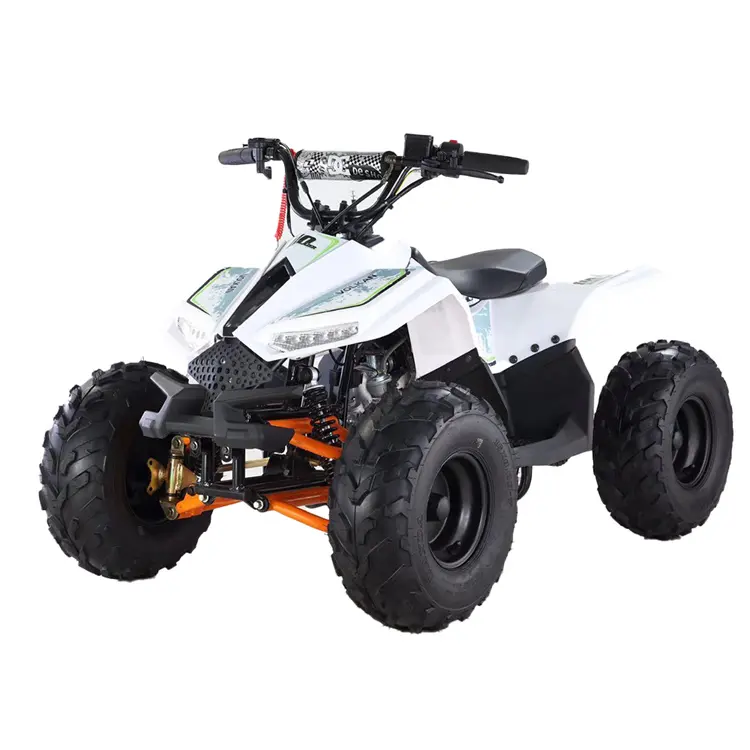 2024 nuovo stile 4 tempi 49cc 110cc 125cc 150cc benzina semi-automatico fuoristrada Quad bambini mini ATV