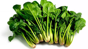 时令蔬菜绿色营养冷冻IQF菠菜叶和切碎的菠菜 - Product Image 2