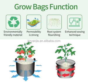 无纺布树加仑布加厚毛毡种植袋植物手柄种植袋 - Product Image 5