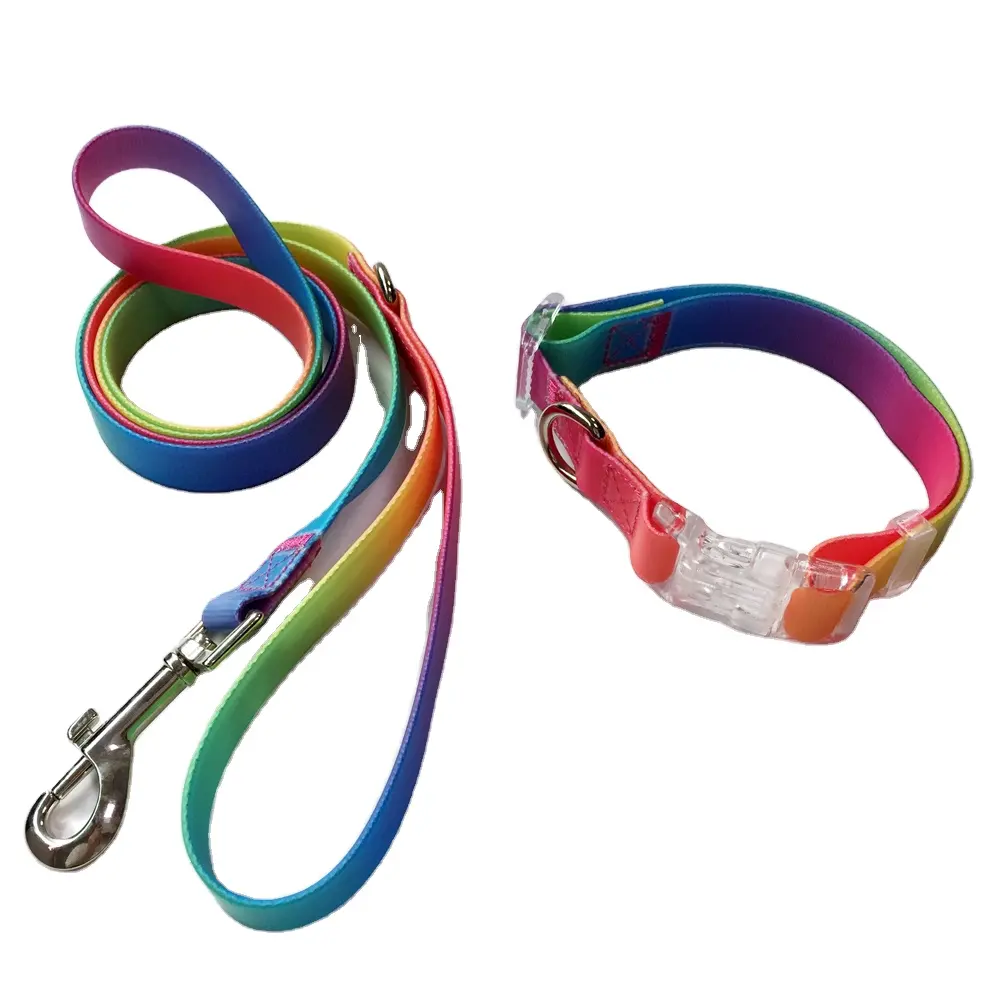 Moda impermeabile e resistente collare per cani in PVC Training guinzaglio Color arcobaleno in Silicone PVC collare per cani e Set di piombo per cani