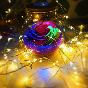 1m 2m 3m led bakır/gümüş tel düğme hücre CR2032 led dize peri işık parti düğün noel dekorasyon - Product Image 5