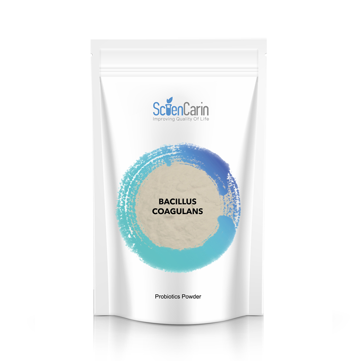Probiotics Powder Food Grade 100billion Bacillus Coagulans