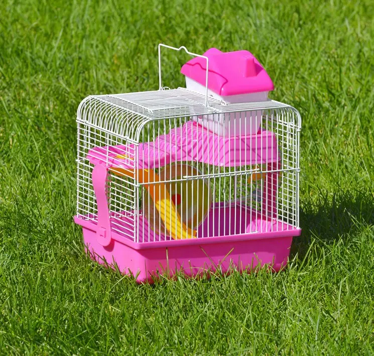 Rosa hamster preço gaiola suprimentos entrega rápida amostra livre