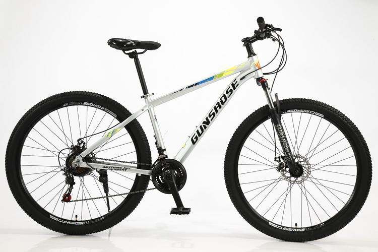 Ruedas de radios con marco de aleación de aluminio plateado