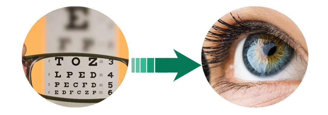 Σκόνη αποσπασμάτων του Blackberry με τις ανθοκυανιδίνες 25%/τις ανθοκυάνες 1 - 25% 2