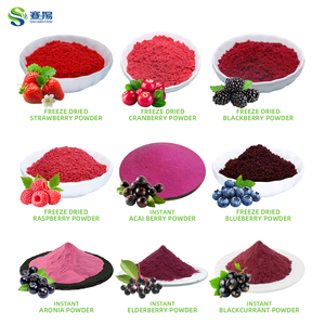 OEM Natural Orgânico Berry Suco De Fruta Em Pó Bebida De Suco De Fruta Orgânica Mistura De Frutas Em Pó - Product Image 2