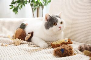 Juguetes de hierba gatera para gatos Proveedores de mascotas personalizados Juguete de bola de hierba gatera interactivo Ratón de peluche Animal Gato Juguetes de hierba gatera - Product Image 6
