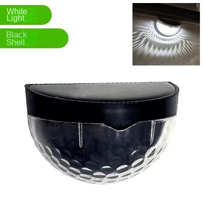 Coquille noire (lumière blanche)