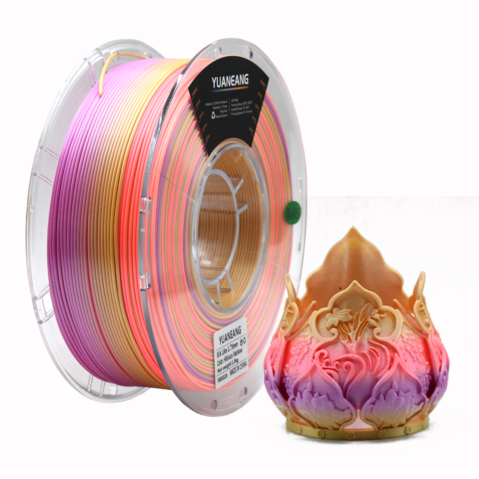 Hibiscus arc-en-ciel