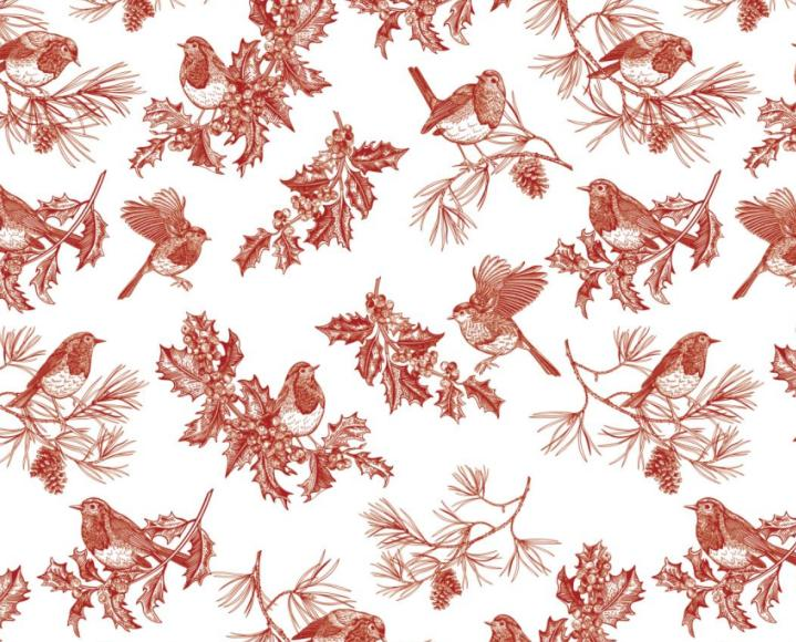 FLY-JDSD-HN-RED