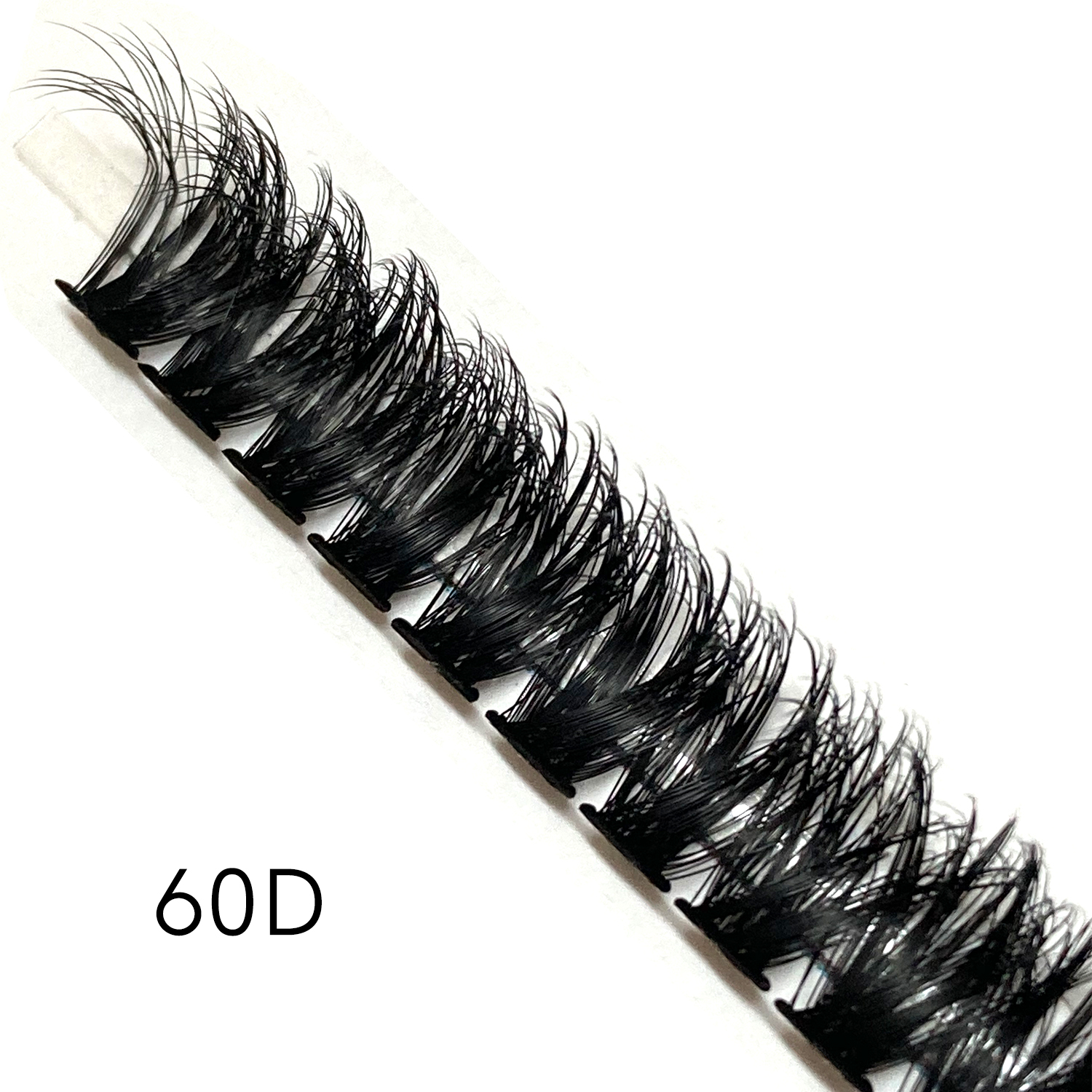 60D