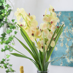 K1003 Lan Vanda Trong Bình Lan Vanda Cây Lan Vanda Lan - Product Image 3