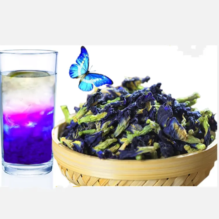 Die Dou hua-té de flor de guisante, mariposa azul seca orgánica a granel