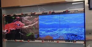 55&quot;Inch Touch Screen Transparent <strong>OLED</strong> <strong>Display</strong> Splicing <strong>OLED</strong> Transparent <strong>Lcd</strong> Ultra Thin See Through Digital Signage and <strong>Display</strong> - Product Image 6